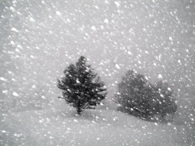 The Color of Snow: Snow Flurry - Book 2